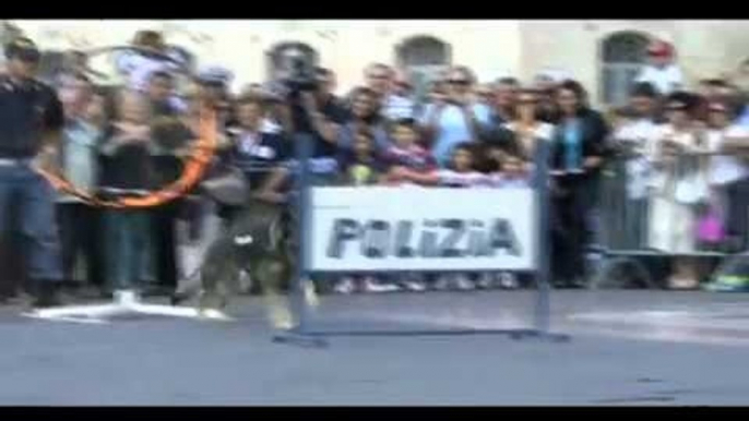 Polizia di Stato - Esibizione cinofili della Polizia di Stato (15.05.13)