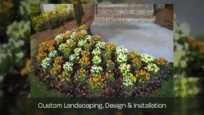 Lawn Maintenance | Pannone's Lawn Pros & Landscaping Call (678) 324-9020