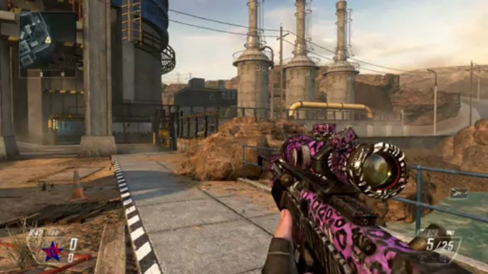 Black Ops 2 PARTY ROCK Camo on All Weapons - Party Rock Personalization Pack