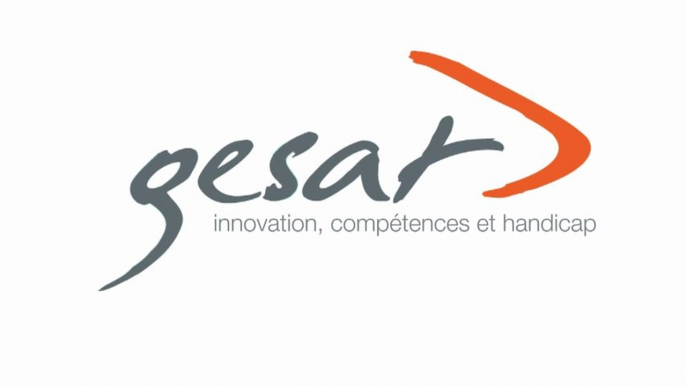 Le Gesat : 30ans au Service du Secteur Protégé et Adapté