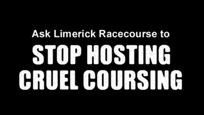 Ask Limerick Racecourse to stop hosting cruel coursing