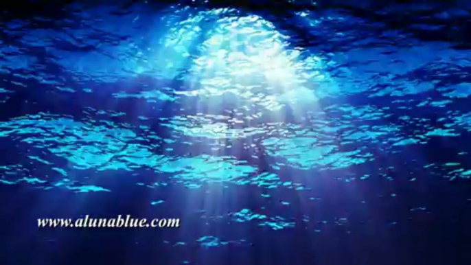 Stock Video - Stock Footage - Video Backgrounds - Water FX0212