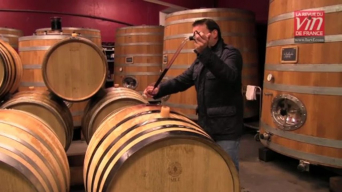 Les meilleurs vins rouges de Loire : Présentation de "Génération XIX" 2010 (domaine Alphonse Mellot)