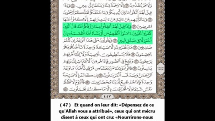 Sourate Ya-sin - Abdul Rahman Al Sudais - Traduite en Français