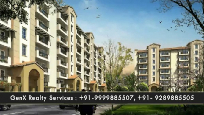 Emaar MGF Palm Hills Resale, 9289885505, Palm Hills Gurgaon