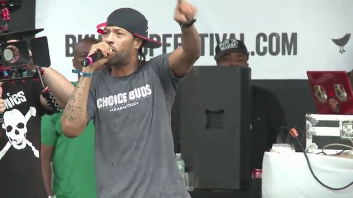 Brooklyn Hip-Hop Festival '13 Redman Full Performance