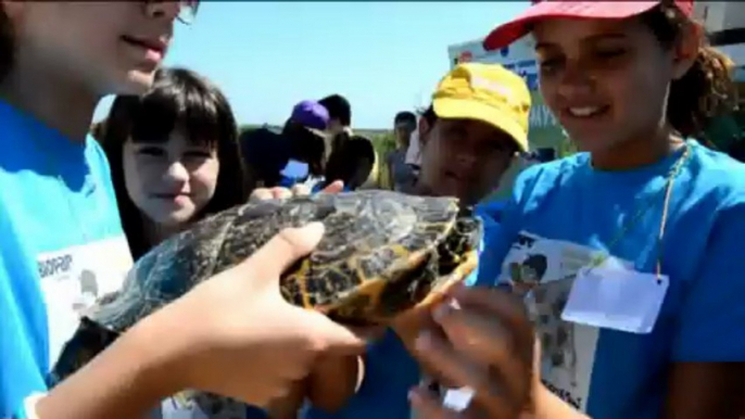 Los niños de la escuela de verano de Bioparc Valencia realizan una “suelta” de Galápagos europeos