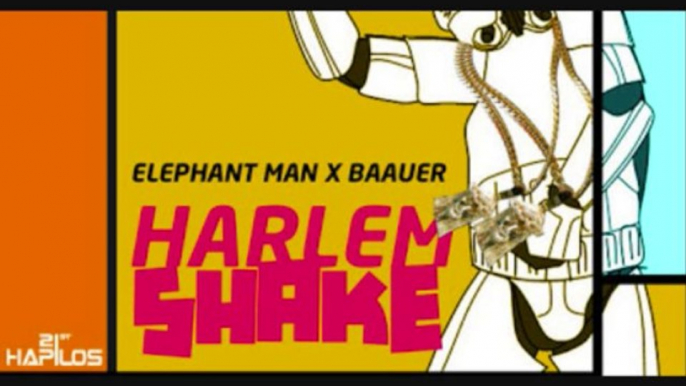 Baauer Harlem shake