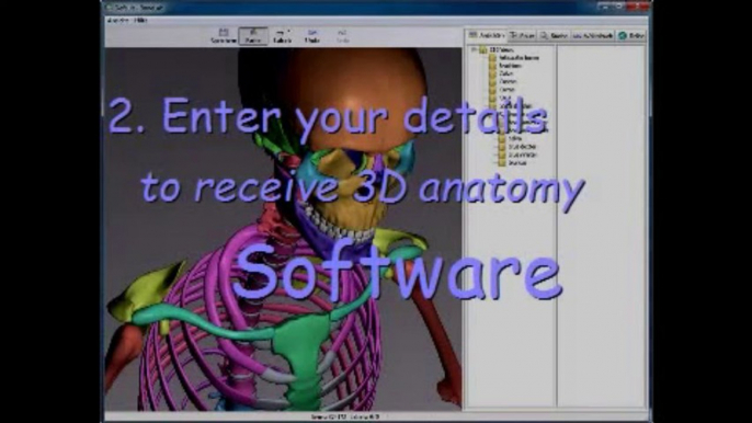 3d Human Anatomy -  Get 3D Human Anatomy Software FREE