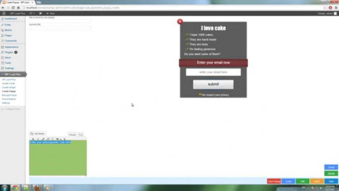 13. How To Create A Popup On Wordpress With WP Lead Plus Plugin