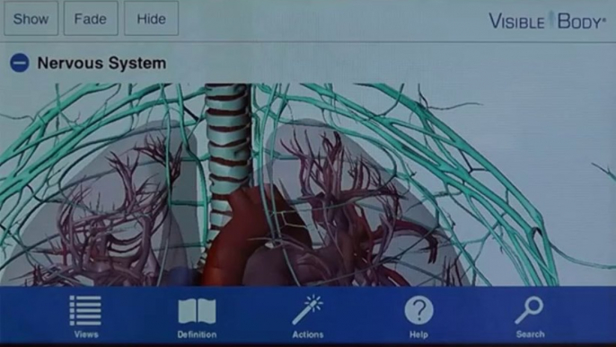 Human Anatomy Atlas for Android