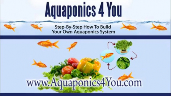 Aquaponics 4 You -- Step-By-Step How To Build Your Own Aquaponics System