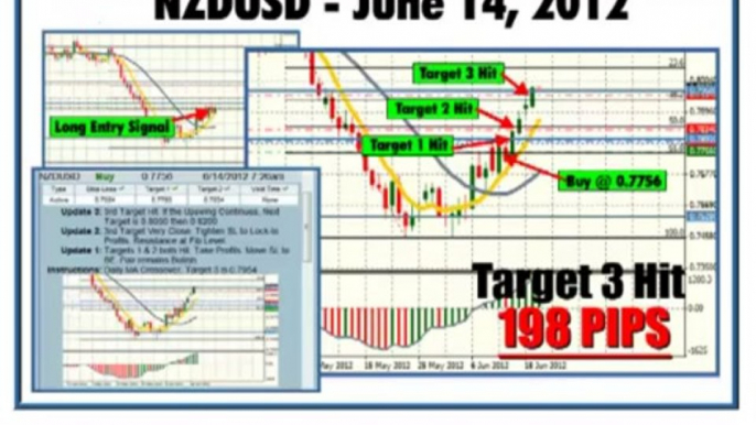 Traders Elite Forex Signals Review