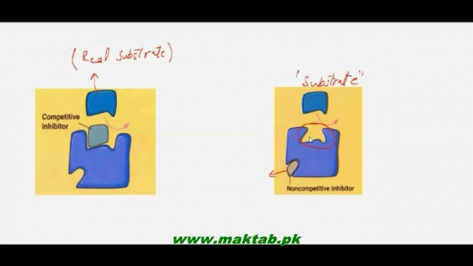 FSc Biology Book1, CH 3, LEC 2, Enzymes Characteristics, Factors Effecting Rate of Enzyme Action and Inhibitors