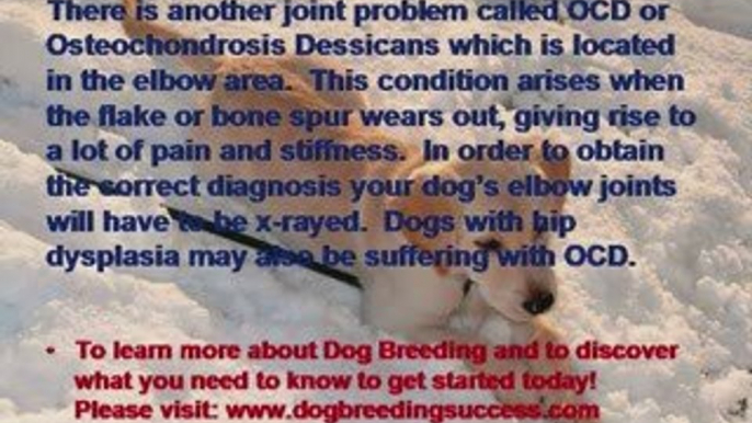 Dog Breeding - Joint Problems