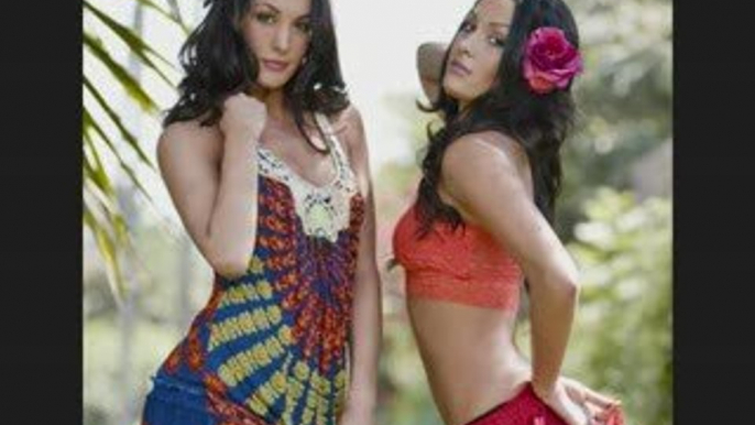 The bella twins : brie & nikki bella.