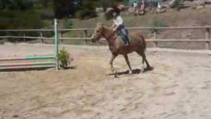 13 juin 09, concours de saut d'obstacles de Guilhem