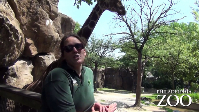Ask the Philadelphia Zoo Keepers: What advice would you give someone who wants to be a zoo keeper?