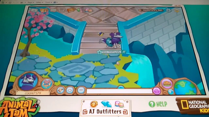 This or That Challenge (Animal Jam)
