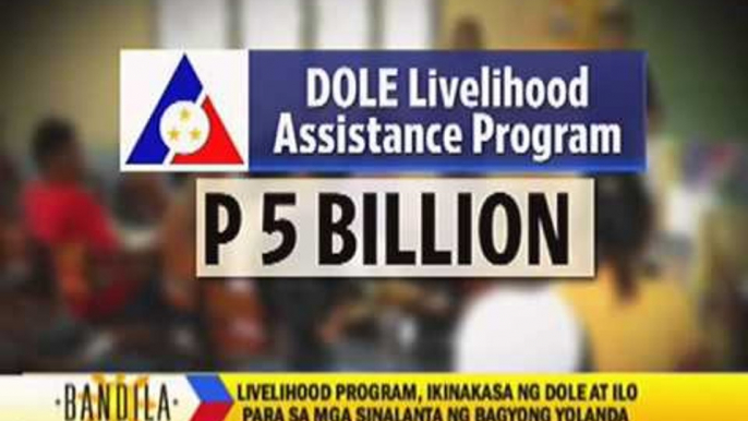 Livelihood program launched for 'Yolanda' survivors