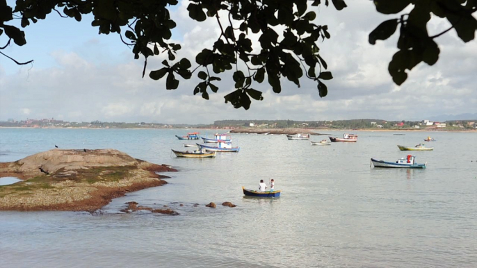 Pescadores também sofrem com fraude no seguro-defeso