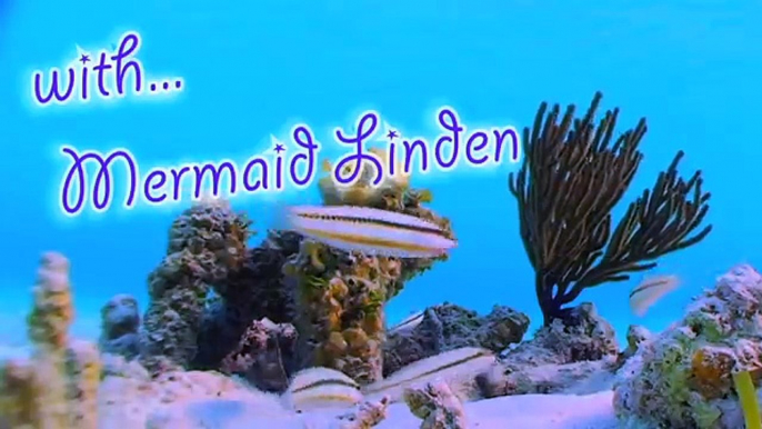 MERMAID MINUTE #1, MEET A REAL MERMAID, LINDEN! Learn about dolphins, sharks, fish and more!