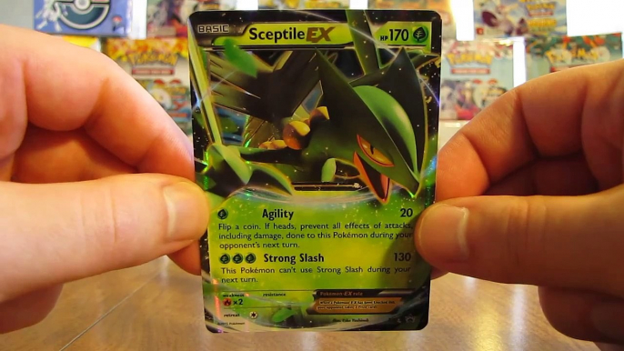 Blaziken, Sceptile, Swampert EX Pokemon Cards (BCBM)