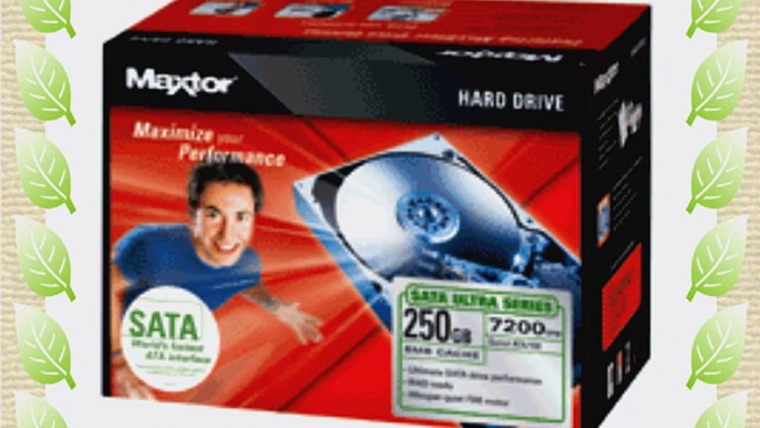 Maxtor 250 GB SATA-150 7200 RPM 8 MB Ultra Series Internal Hard Drive Upgrade Kit (L01M250)