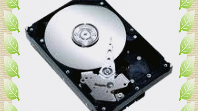 Seagate ST3500320NS. 500 Gigabyte SATA 3G Enterprise Storage 7200 rpm 32MB Cache Bare Drive