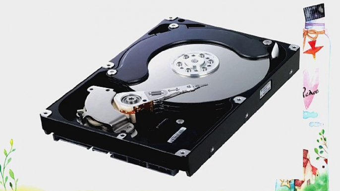 Samsung 1 TB SATA II Hard Drive HD103UJ