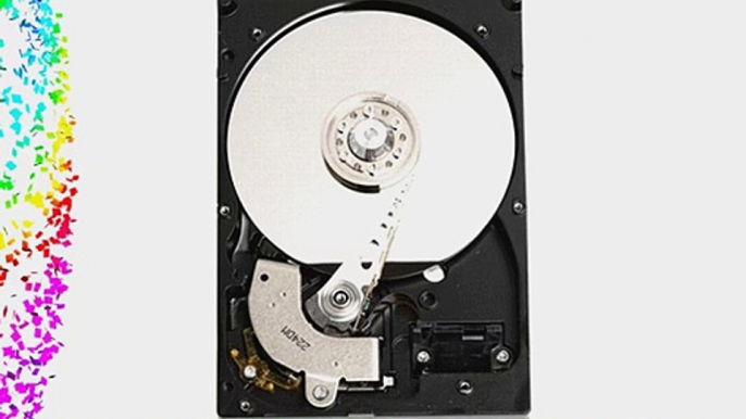 Western Digital 320 GB 3.5-Inch 8 MB Cache 7200 RPM SATA II Bulk/OEM Hard Drive WDC3200AAJS