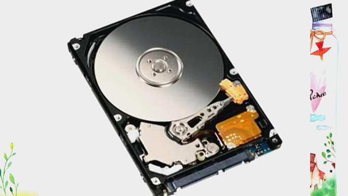 Generic 320 GB 320GB 2.5 Inch Sata Laptop Internal Hard drive 5400 RPM For Laptop/Mac/PS3 (320