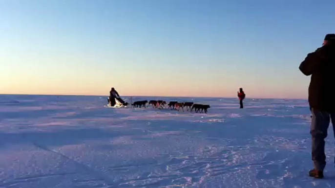 2011 Iditarod champion John Baker arrives in Nome