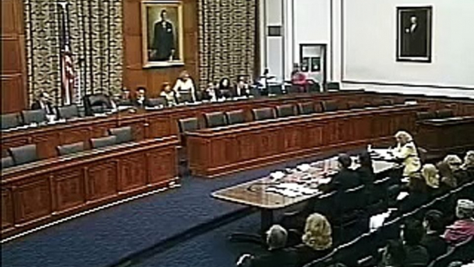 Electronic Voting Hearing: "Voter Fraud" and Voter ID