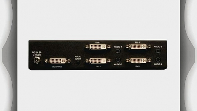 Tripp Lite 4-Port DVI Splitter with Audio and Signal Booster Single Link - 1920x1200 at 60Hz