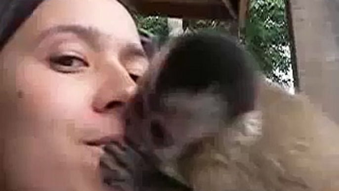 Cute Capuchin Monkey Giving Kisses