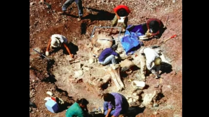 Giant Human Skeletons Found in Greece A Hoax