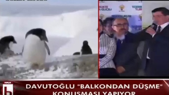 Davutoğlu konuşurken Halk TV penguenleri yayınladı