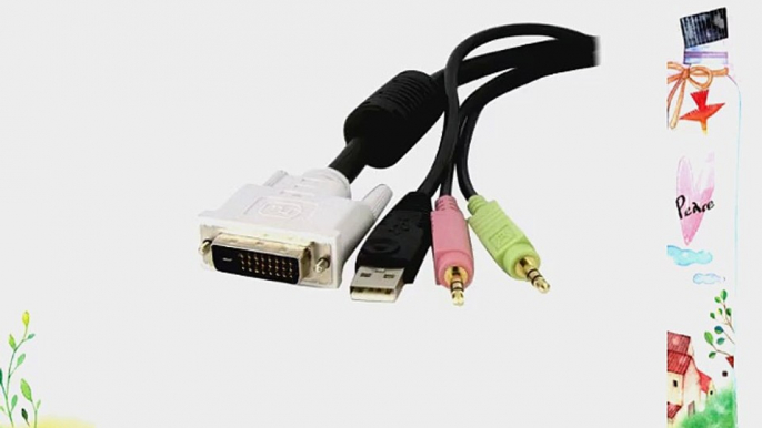 StarTech.com DVID4N1USB10 10 Feet 4-in-1 USB Dual Link DVI-D KVM Switch Cable with Audio and