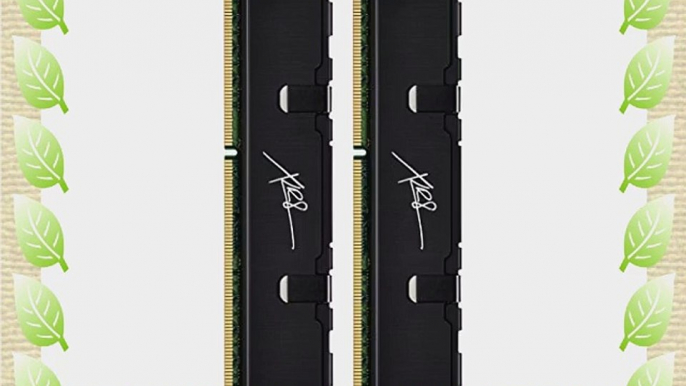 PNY XLR8 DDR3 16GB (2x8GB) 1600MHz (PC3-12800) CAS 9 1.5V PC Memory Desktop Kit (MD16384KD3-1600-X9)