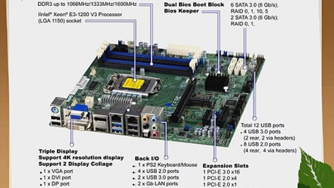 Supermicro Motherboard Micro ATX DDR3 1600 LGA 1150 Motherboards X10SLQ-O