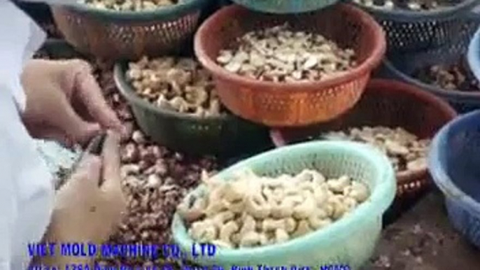 CASHEW PEELING MACHINE BY VIET MOLD MACHINE CO , LTD