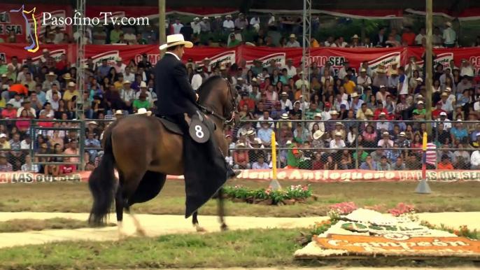 Trote y Galope, Gran campeona, Fogata del Arco, Feria de Flores 2012