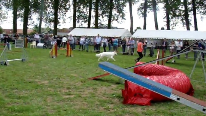 premier concour d'agility a berlencourt le couroy.