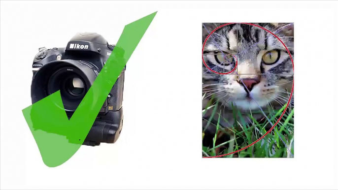 Photography Tutorials for Beginners Photography Tips and Tricks Learn Digital Photography