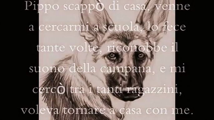 Pippo, il cane che aveva giurato fedeltà. Una storia vera. PT. 1