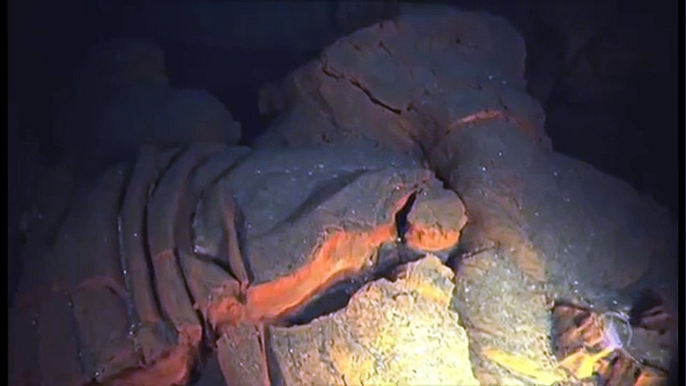 Images from the Arctic Seafloor