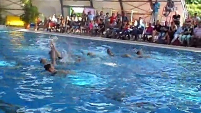 Beauvais : gala de natation synchronisée