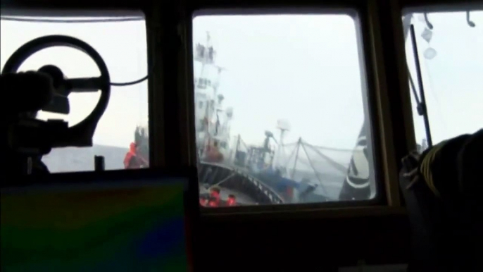 Boat collision footage: Sea Shepherd ship rammed by Japanese whaling vessel