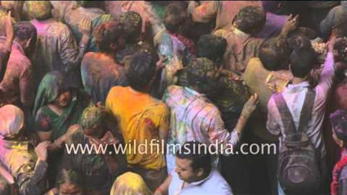 Hindus celebrate Holi at Banke Bihari Temple, Vrindavan